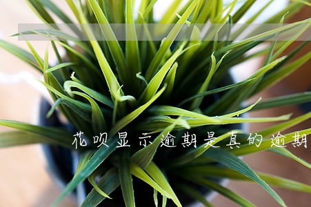 花呗显示逾期是真的逾期了吗 花呗显示逾期是真的逾期了吗