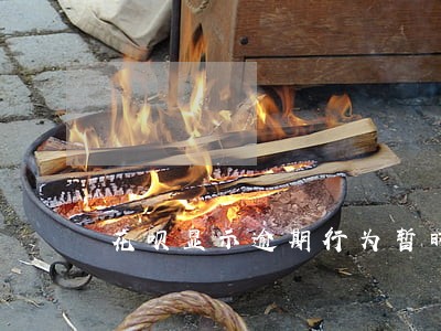花呗显示逾期行为暂时关闭花呗 花呗显示逾期行为暂时关闭花呗