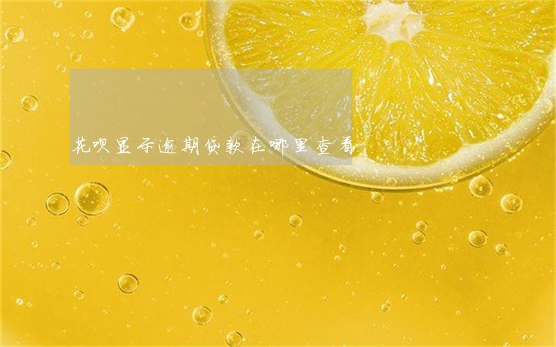 花呗显示逾期贷款在哪里查看 花呗显示逾期贷款在哪里查看