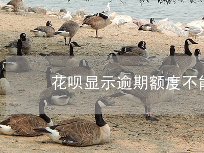 花呗显示逾期额度不能用 花呗显示逾期额度不能用