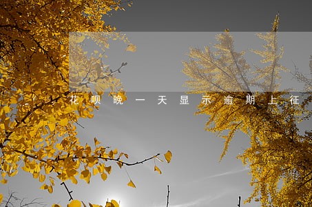 花呗晚一天显示逾期上征信吗
