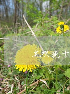 花呗晚十天还算逾期吗