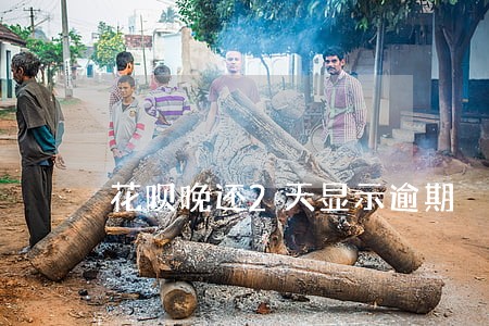 花呗晚还2天显示逾期 花呗晚还2天显示逾期