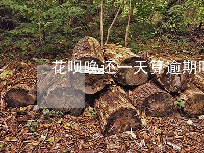 花呗晚还一天算逾期吗会上征信吗 花呗晚还一天算逾期吗会上征信吗
