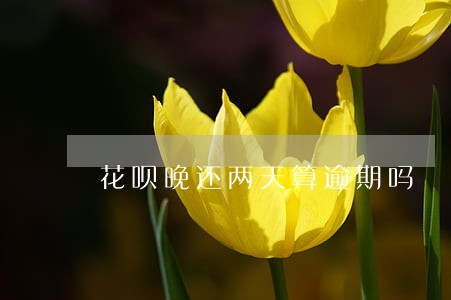 花呗晚还两天算逾期吗 花呗晚还两天算逾期吗