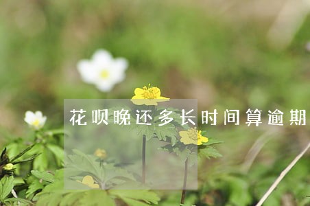 花呗晚还多长时间算逾期 花呗晚还多长时间算逾期
