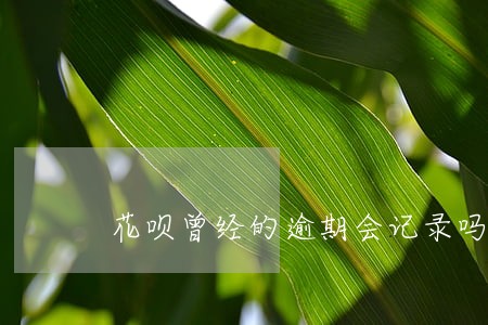 花呗曾经的逾期会记录吗 花呗曾经的逾期会记录吗