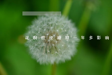 花呗曾经逾期一年多影响买房么 花呗曾经逾期一年多影响买房么