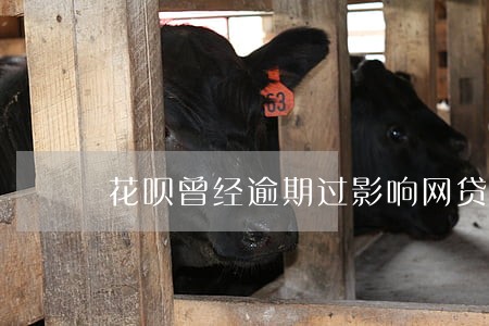 花呗曾经逾期过影响网贷吗 花呗曾经逾期过影响网贷吗