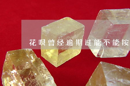 花呗曾经逾期过能不能按揭买房了 花呗曾经逾期过能不能按揭买房了