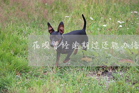 花呗曾经逾期过还能办信用卡吗 花呗曾经逾期过还能办信用卡吗