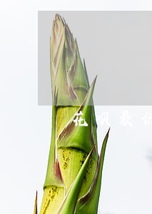 花呗最低还款逾期 花呗最低还款逾期