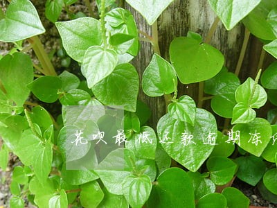 花呗最低还款逾期冻结 花呗最低还款逾期冻结