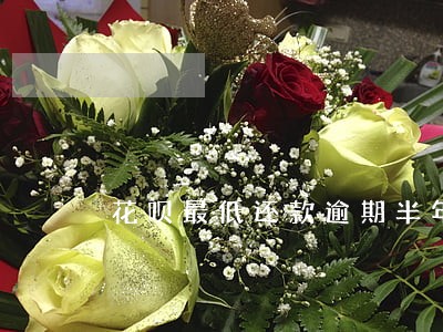 花呗最低还款逾期半年了 花呗最低还款逾期半年了