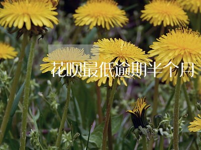 花呗最低逾期半个月 花呗最低逾期半个月