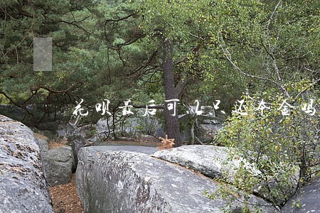 花呗最后可以只还本金吗 花呗最后可以只还本金吗