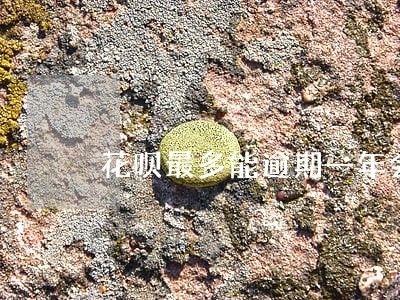 花呗最多能逾期一年会怎样 花呗最多能逾期一年会怎样