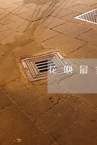 花呗最多逾期一周 花呗最多逾期一周