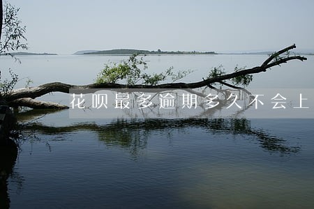 花呗最多逾期多久不会上征信 花呗最多逾期多久不会上征信