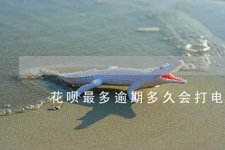 花呗最多逾期多久会打电话 花呗最多逾期多久会打电话