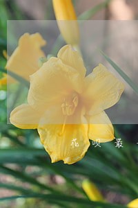 花呗最长可逾期多长时间