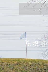 花呗有22笔逾期是否为失信人员 花呗有22笔逾期是否为失信人员