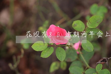 花呗有80逾期两年会上征信吗 花呗有80逾期两年会上征信吗