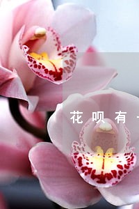 花呗有一万逾期了怎么办 花呗有一万逾期了怎么办