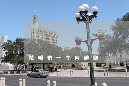 花呗有一个月逾期 花呗有一个月逾期