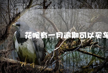 花呗有一月逾期可以买车吗 花呗有一月逾期可以买车吗