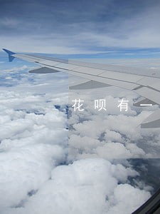 花呗有一次逾期会上征信吗 花呗有一次逾期会上征信吗