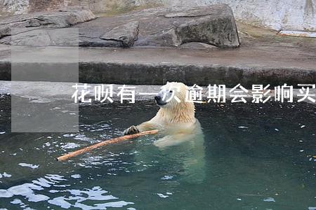 花呗有一次逾期会影响买房吗 花呗有一次逾期会影响买房吗