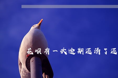 花呗有一次逾期还清了还可以用吗 花呗有一次逾期还清了还可以用吗