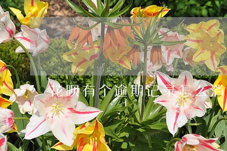 花呗有个逾期记录怎么消除 花呗有个逾期记录怎么消除