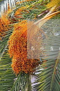 花呗有微贷产品逾期30天 花呗有微贷产品逾期30天