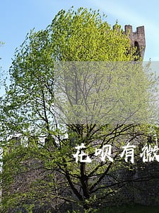 花呗有微贷产品逾期怎么办 花呗有微贷产品逾期怎么办