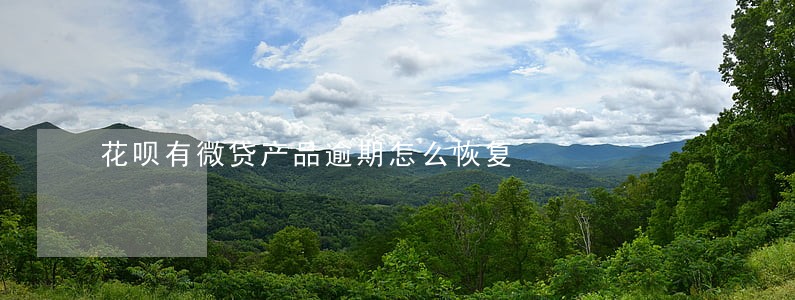 花呗有微贷产品逾期怎么恢复 花呗有微贷产品逾期怎么恢复