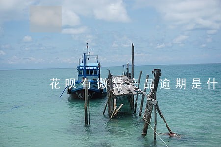 花呗有微贷产品逾期是什么 花呗有微贷产品逾期是什么