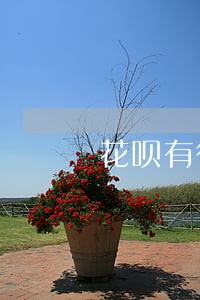 花呗有微贷产品逾期记录怎么消除 花呗有微贷产品逾期记录怎么消除