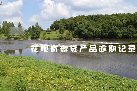 花呗有微贷产品逾期记录怎样 花呗有微贷产品逾期记录怎样
