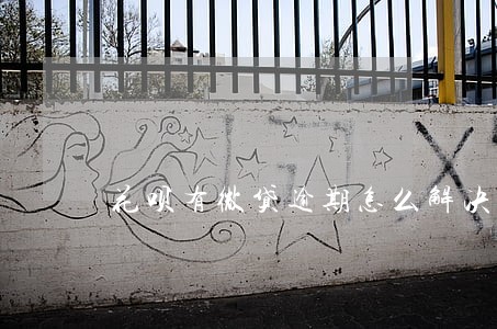 花呗有微贷逾期怎么解决 花呗有微贷逾期怎么解决