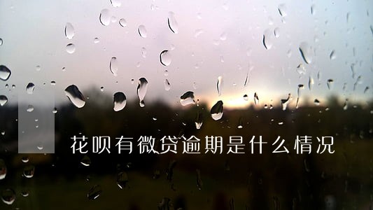 花呗有微贷逾期是什么情况 花呗有微贷逾期是什么情况