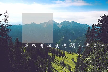 花呗有微贷逾期记多久恢复 花呗有微贷逾期记多久恢复