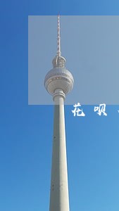 花呗有微贷逾期记录怎么办