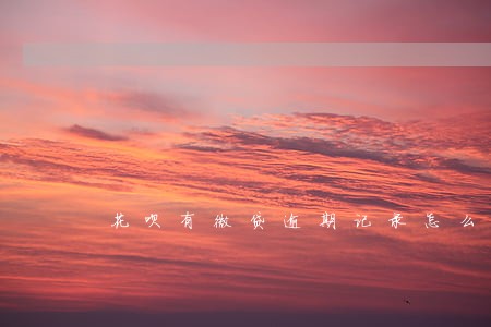 花呗有微贷逾期记录怎么弄 花呗有微贷逾期记录怎么弄