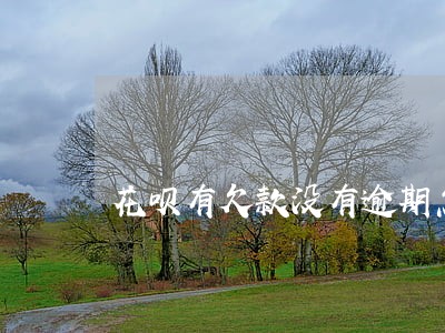 花呗有欠款没有逾期怎么不能用了 花呗有欠款没有逾期怎么不能用了
