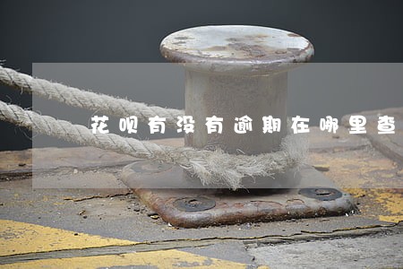 花呗有没有逾期在哪里查看 花呗有没有逾期在哪里查看