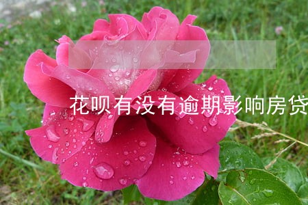 花呗有没有逾期影响房贷 花呗有没有逾期影响房贷