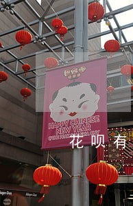 花呗有没有逾期查询 花呗有没有逾期查询