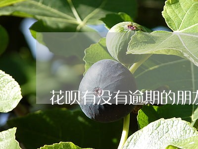 花呗有没有逾期的朋友 花呗有没有逾期的朋友
